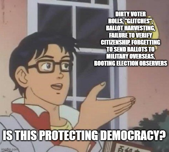 Is This A Pigeon | DIRTY VOTER ROLLS, "GLITCHES", BALLOT HARVESTING, FAILURE TO VERIFY CITIZENSHIP, FORGETTING TO SEND BALLOTS TO MILITARY OVERSEAS, BOOTING ELECTION OBSERVERS; IS THIS PROTECTING DEMOCRACY? | image tagged in memes,is this a pigeon | made w/ Imgflip meme maker