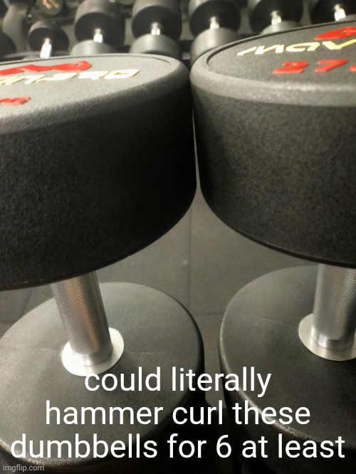 27.5 kg dumbells btw | could literally hammer curl these dumbbells for 6 at least | image tagged in dumb | made w/ Imgflip meme maker