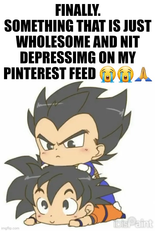FINALLY. SOMETHING THAT IS JUST WHOLESOME AND NIT DEPRESSIMG ON MY PINTEREST FEED 😭😭🙏 | made w/ Imgflip meme maker