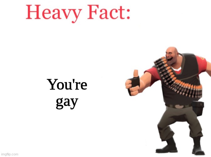 No you | You're gay | image tagged in heavy fact | made w/ Imgflip meme maker