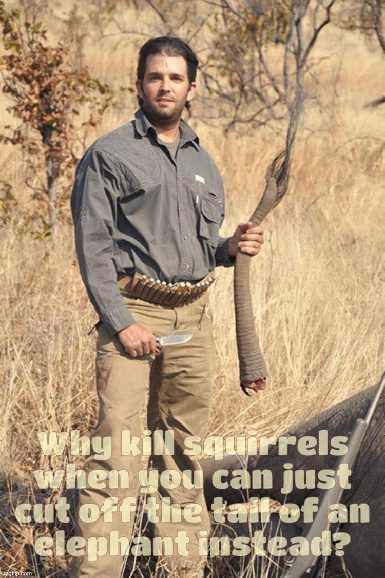 The day that the anti-nature conservation pro-hunting shoot-em-all Republiklans suddenly supported animal rights | Why kill squirrels
when you can just
cut off the tail of an
elephant instead? | image tagged in donald trump jr elephant tail,peanut the squirrel,animal rights,squirrel hunting,open season,conservative hypocrisy | made w/ Imgflip meme maker