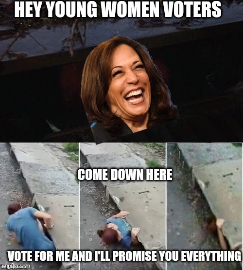 In the gutter for death | HEY YOUNG WOMEN VOTERS; COME DOWN HERE; VOTE FOR ME AND I'LL PROMISE YOU EVERYTHING | image tagged in penny wise pick up lines,leftists,liberals,democrats | made w/ Imgflip meme maker