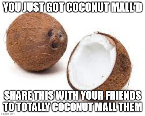 YOU JUST GOT COCONUT MALLED | YOU JUST GOT COCONUT MALL'D; SHARE THIS WITH YOUR FRIENDS TO TOTALLY COCONUT MALL THEM | image tagged in you just got coconut malled | made w/ Imgflip meme maker