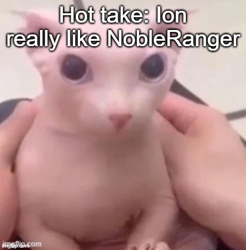 bingus | Hot take: Ion really like NobleRanger | image tagged in bingus | made w/ Imgflip meme maker