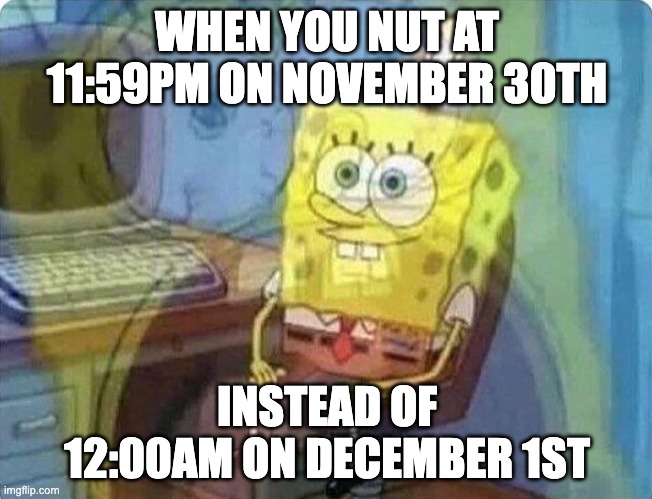 spongebob screaming inside | WHEN YOU NUT AT 11:59PM ON NOVEMBER 30TH; INSTEAD OF 12:00AM ON DECEMBER 1ST | image tagged in spongebob screaming inside,nnn,no nut november,memes,funny,spongebob | made w/ Imgflip meme maker