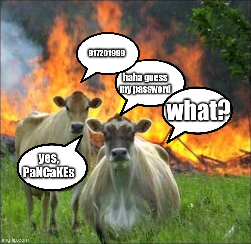 haha guess my password 917201999 what? yes, PaNCaKEs | image tagged in memes,evil cows | made w/ Imgflip meme maker