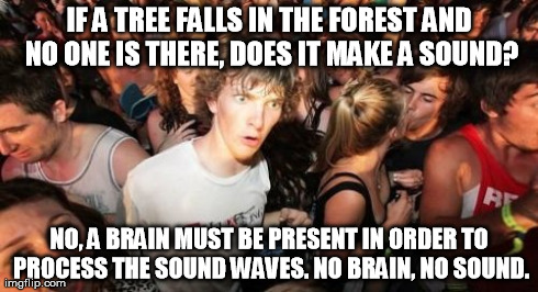 Sudden Clarity Clarence | IF A TREE FALLS IN THE FOREST AND NO ONE IS THERE, DOES IT MAKE A SOUND? NO, A BRAIN MUST BE PRESENT IN ORDER TO PROCESS THE SOUND WAVES. NO | image tagged in memes,sudden clarity clarence,AdviceAnimals | made w/ Imgflip meme maker