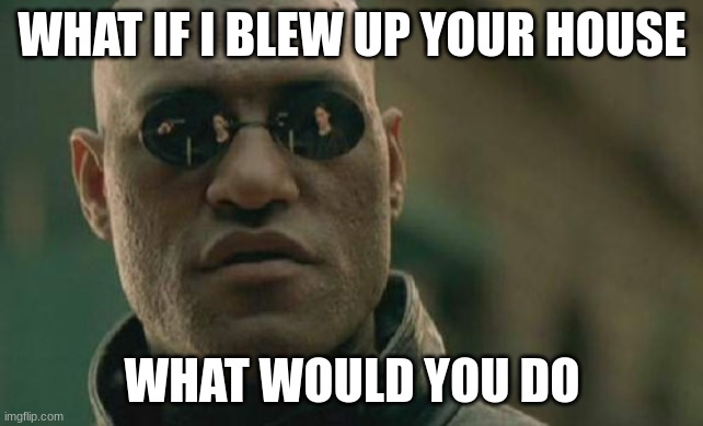 Matrix Morpheus Meme | WHAT IF I BLEW UP YOUR HOUSE; WHAT WOULD YOU DO | image tagged in memes,matrix morpheus | made w/ Imgflip meme maker