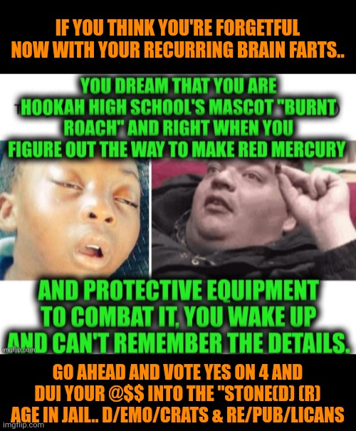 Funny | IF YOU THINK YOU'RE FORGETFUL NOW WITH YOUR RECURRING BRAIN FARTS.. GO AHEAD AND VOTE YES ON 4 AND DUI YOUR @$$ INTO THE "STONE(D) (R) AGE IN JAIL.. D/EMO/CRATS & RE/PUB/LICANS | image tagged in funny,jail,dui,republican,democrats,weed | made w/ Imgflip meme maker