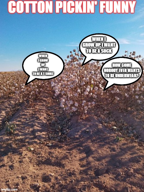 cotton pickin' funny | COTTON PICKIN' FUNNY; WHEN I GROW UP, I WANT TO BE A SOCK; WHEN I GROW UP, I WANT TO BE A T-SHIRT; HOW COME NOBODY EVER WANTS TO BE UNDERWEAR? | image tagged in humor | made w/ Imgflip meme maker