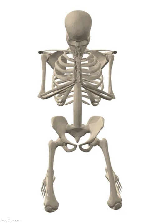 Praying skeleton | image tagged in praying skeleton | made w/ Imgflip meme maker