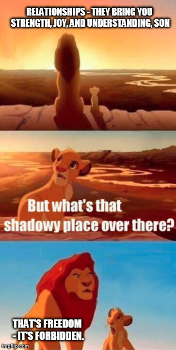 Simba Shadowy Place Meme | RELATIONSHIPS - THEY BRING YOU STRENGTH, JOY, AND UNDERSTANDING, SON THAT'S FREEDOM - IT'S FORBIDDEN. | image tagged in memes,simba shadowy place | made w/ Imgflip meme maker