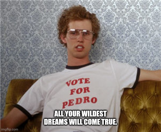 Vote for pedro | ALL YOUR WILDEST DREAMS WILL COME TRUE. | image tagged in vote for pedro | made w/ Imgflip meme maker