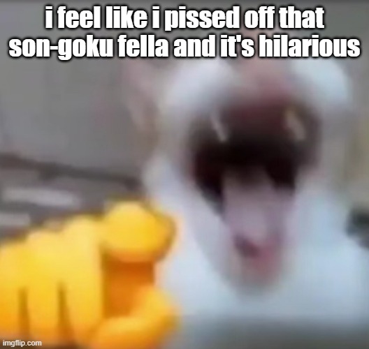 Cat pointing and laughing | i feel like i pissed off that son-goku fella and it's hilarious | image tagged in cat pointing and laughing | made w/ Imgflip meme maker
