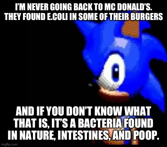 One person died, others got pretty sick. | I’M NEVER GOING BACK TO MC DONALD’S. THEY FOUND E.COLI IN SOME OF THEIR BURGERS; AND IF YOU DON’T KNOW WHAT THAT IS, IT’S A BACTERIA FOUND IN NATURE, INTESTINES, AND POOP. | image tagged in sonic stares,memes,srsly | made w/ Imgflip meme maker