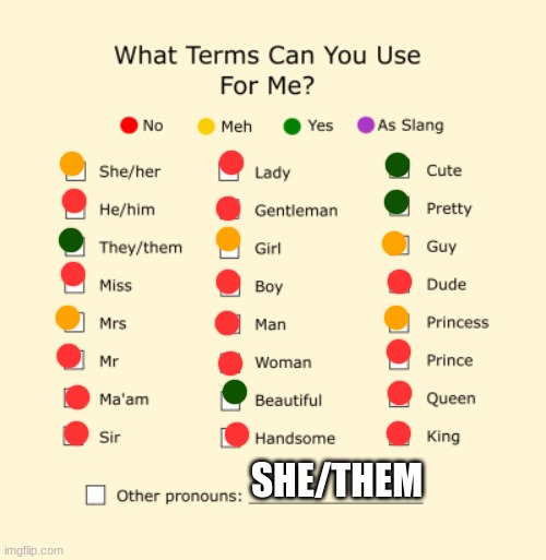 Pronouns Sheet | SHE/THEM | image tagged in pronouns sheet | made w/ Imgflip meme maker