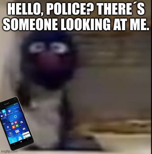 grover is being stalked | HELLO, POLICE? THERE´S SOMEONE LOOKING AT ME. | image tagged in grover staring | made w/ Imgflip meme maker