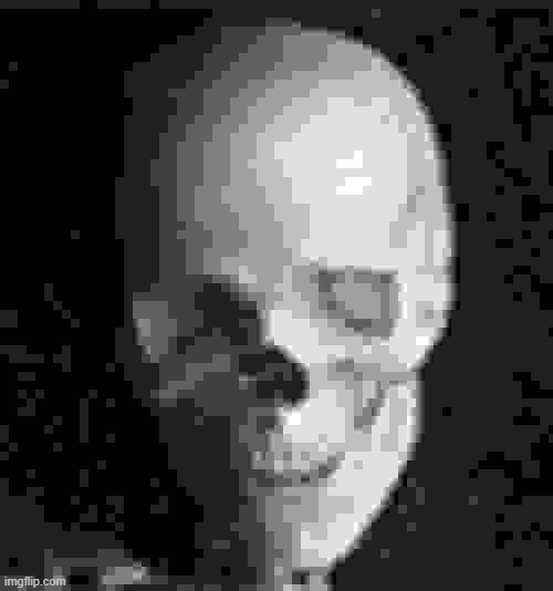 Skull | image tagged in skull | made w/ Imgflip meme maker