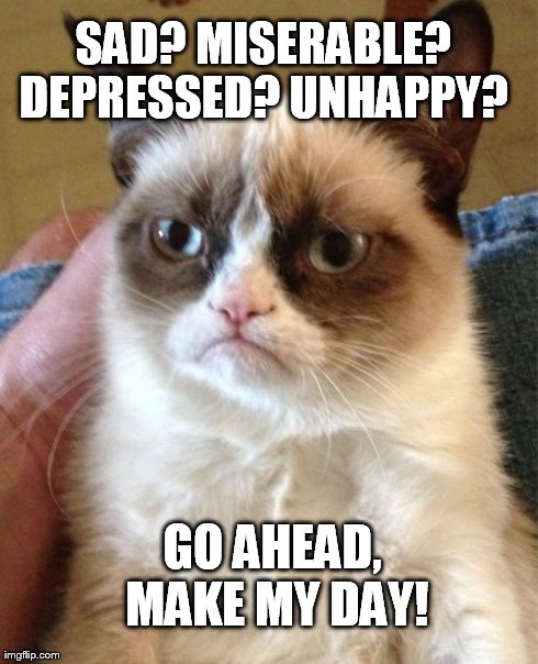 Grumpy Cat Meme | SAD? MISERABLE? DEPRESSED? UNHAPPY?  GO AHEAD, MAKE MY DAY! | image tagged in memes,grumpy cat | made w/ Imgflip meme maker