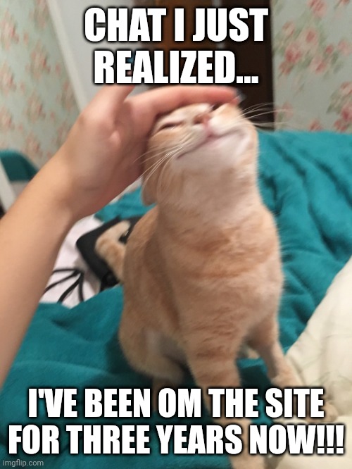 And in msmg for a year! | CHAT I JUST REALIZED... I'VE BEEN OM THE SITE FOR THREE YEARS NOW!!! | image tagged in cat pat | made w/ Imgflip meme maker