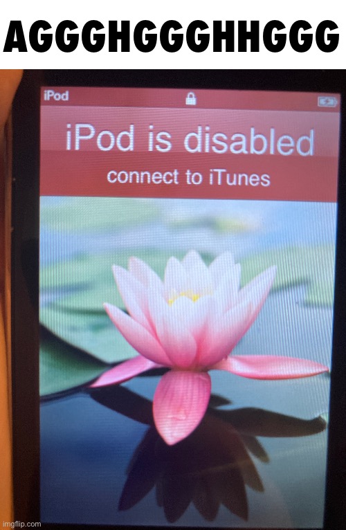 i tried the passcode ONCE and it was wrong and then it gave this | AGGGHGGGHHGGG | made w/ Imgflip meme maker