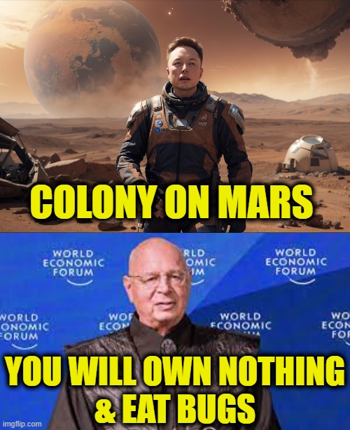 Two different visions of the our future | COLONY ON MARS; YOU WILL OWN NOTHING
& EAT BUGS | image tagged in new world order,future | made w/ Imgflip meme maker