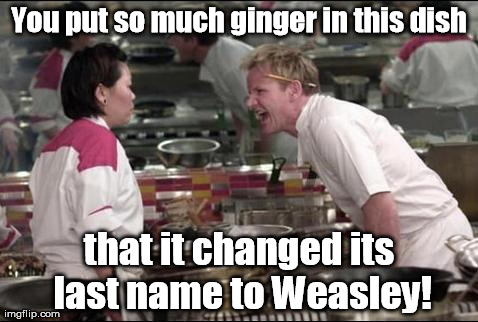 Let's try for a sun tan today! | You put so much ginger in this dish that it changed its last name to Weasley! | image tagged in memes,angry chef gordon ramsay | made w/ Imgflip meme maker