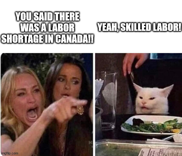 Labor shortage | YOU SAID THERE WAS A LABOR SHORTAGE IN CANADA!! YEAH, SKILLED LABOR! | image tagged in lady screams at cat,canada,labor,shortage,skilled | made w/ Imgflip meme maker