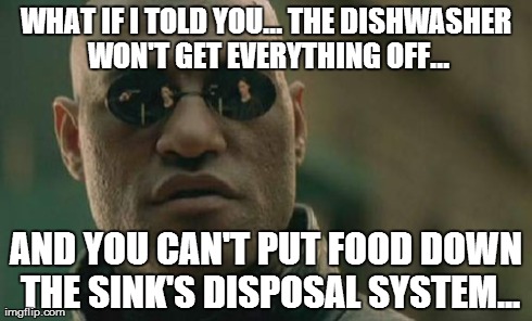 Matrix Morpheus Meme | WHAT IF I TOLD YOU... THE DISHWASHER WON'T GET EVERYTHING OFF... AND YOU CAN'T PUT FOOD DOWN THE SINK'S DISPOSAL SYSTEM... | image tagged in memes,matrix morpheus | made w/ Imgflip meme maker