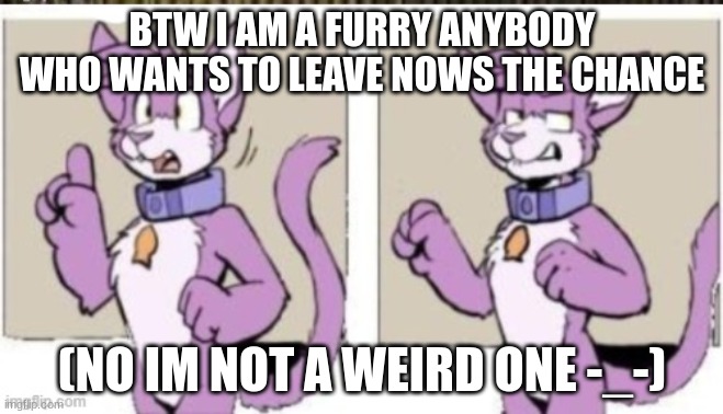 wanted to put this out there | BTW I AM A FURRY ANYBODY WHO WANTS TO LEAVE NOWS THE CHANCE; (NO IM NOT A WEIRD ONE -_-) | image tagged in speechless furry template | made w/ Imgflip meme maker