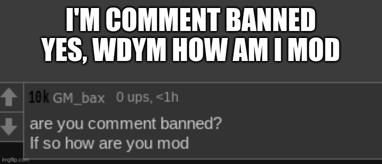 its a site ban so I can't do shit about it | I'M COMMENT BANNED YES, WDYM HOW AM I MOD | made w/ Imgflip meme maker