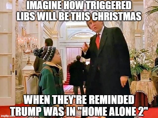 Trump Home Alone | IMAGINE HOW TRIGGERED LIBS WILL BE THIS CHRISTMAS; WHEN THEY'RE REMINDED TRUMP WAS IN "HOME ALONE 2" | image tagged in trump home alone | made w/ Imgflip meme maker