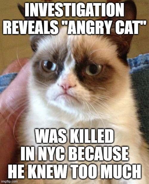 Grumpy Cat | INVESTIGATION REVEALS "ANGRY CAT"; WAS KILLED IN NYC BECAUSE HE KNEW TOO MUCH | image tagged in memes,grumpy cat | made w/ Imgflip meme maker