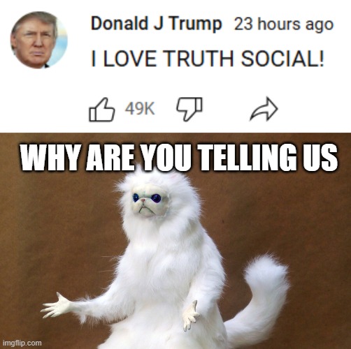 Trump just made an interesting youtube post... | WHY ARE YOU TELLING US | image tagged in memes,persian cat room guardian single,trump 2024 | made w/ Imgflip meme maker