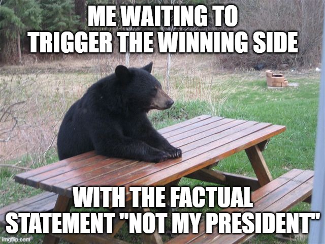 Happy 5th, don´t kill each others, or do, I don´t care | ME WAITING TO TRIGGER THE WINNING SIDE; WITH THE FACTUAL STATEMENT "NOT MY PRESIDENT" | image tagged in patient bear,elections | made w/ Imgflip meme maker