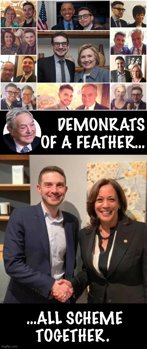 DEMONRATS OF A FEATHER…; …ALL SCHEME TOGETHER. | made w/ Imgflip meme maker