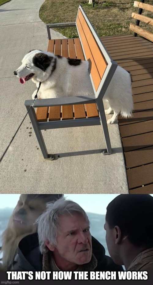 THAT'S NOT HOW THE BENCH WORKS | image tagged in that's not how the force works,bench | made w/ Imgflip meme maker