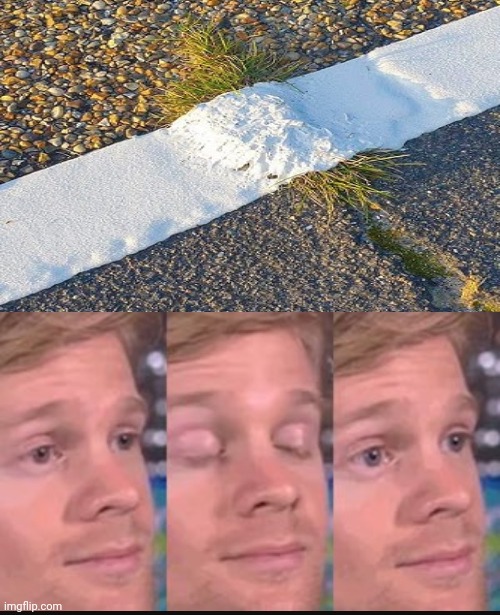 Piece of grass | image tagged in blinking guy,grass,road,paint,memes,you had one job | made w/ Imgflip meme maker