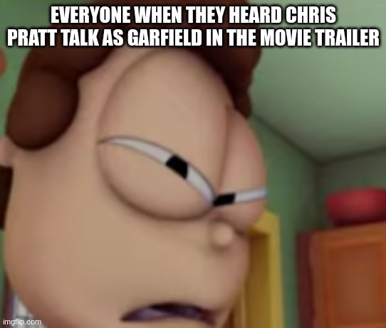 why are they like this... | EVERYONE WHEN THEY HEARD CHRIS PRATT TALK AS GARFIELD IN THE MOVIE TRAILER | image tagged in wtf jon | made w/ Imgflip meme maker