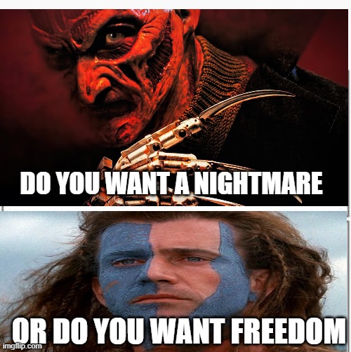 The Choice is yours!! | DO YOU WANT A NIGHTMARE; OR DO YOU WANT FREEDOM | image tagged in two templates to put images in to make a meme,freddy krueger,braveheart freedom,election | made w/ Imgflip meme maker