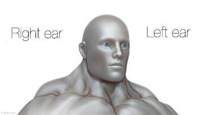 right ear left ear | image tagged in right ear left ear | made w/ Imgflip meme maker