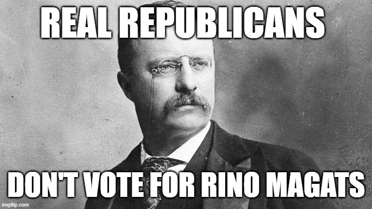 Vote to take your party back - vote Democrat! | REAL REPUBLICANS; DON'T VOTE FOR RINO MAGATS | image tagged in maga,rino | made w/ Imgflip meme maker