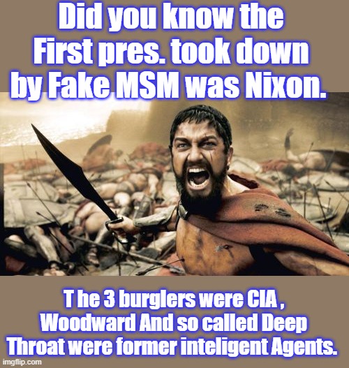 DEEP state dems, Aka THE CLUB | Did you know the First pres. took down by Fake MSM was Nixon. T he 3 burglers were CIA , Woodward And so called Deep Throat were former inteligent Agents. | image tagged in memes,sparta leonidas | made w/ Imgflip meme maker