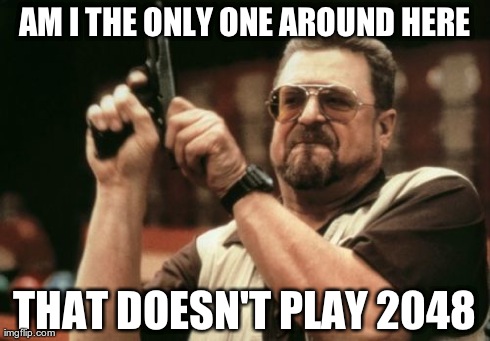 Am I The Only One Around Here Meme | AM I THE ONLY ONE AROUND HERE THAT DOESN'T PLAY 2048 | image tagged in memes,am i the only one around here | made w/ Imgflip meme maker