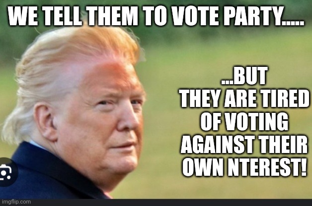 Drag trump | WE TELL THEM TO VOTE PARTY..... ...BUT THEY ARE TIRED OF VOTING AGAINST THEIR OWN NTEREST! | image tagged in drag trump | made w/ Imgflip meme maker