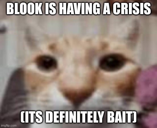 :| | BLOOK IS HAVING A CRISIS; (ITS DEFINITELY BAIT) | made w/ Imgflip meme maker