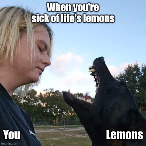 When Life Gives You Lemons | When you're sick of life's lemons; Lemons; You | image tagged in life is rough,when life gives you lemons,tired,so tired,exhausted,when life gives you lemons x | made w/ Imgflip meme maker