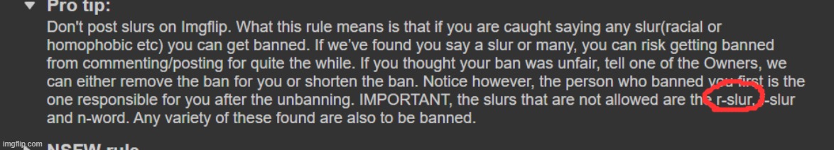 i know this rule is stupid but i don't want anyone else getting banned like me | made w/ Imgflip meme maker