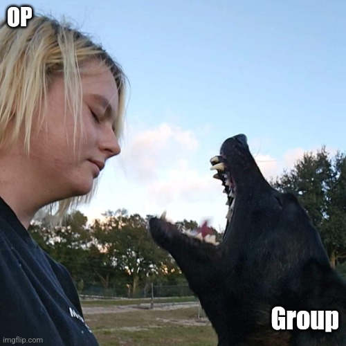 OP vs Group | OP; Group | image tagged in life is rough,losing,embarrassing,embarrassed | made w/ Imgflip meme maker