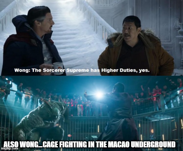 Higher Duties Huh | ALSO WONG...CAGE FIGHTING IN THE MACAO UNDERGROUND | image tagged in wong,abomination | made w/ Imgflip meme maker